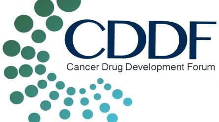 CDDF Workshop / November 2018